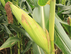 ����918-���׷N��-�Ǻ�����N�I(y��)