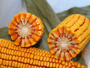 ����718-���׷N��-�Ǻ�����N�I(y��)