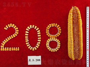 ����208-���׷N��-�Ǻ�����N�I(y��)