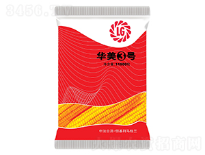 �A��3̖(h��o)-���׷N��-������R���m