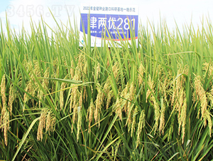 ��Ƀ�(y��u)281-ˮ���N��-�𽡷N�I(y��)