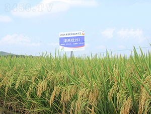 ��Ƀ�(y��u)251-ˮ���N��-�𽡷N�I(y��)