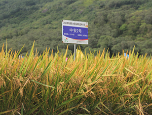 �а�2̖-ˮ���N��-�𽡷N�I(y��)