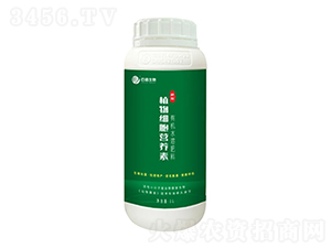 ֲ�：(x��)���I(y��ng)�B(y��ng)��-�ٵ�����