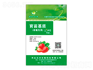 草莓專用育苗基質(zhì)-沃興生物