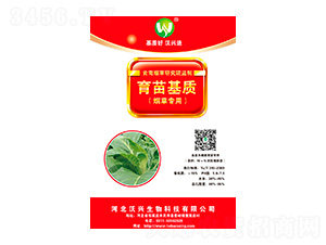 ���݌���������|(zh��)-���d����