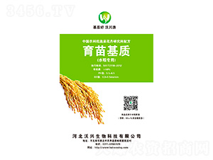 ˮ������������|(zh��)-���d����