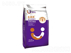 ΢�������-������-�ڼژ�