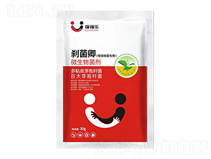 ������������΢�������-�x����-�ڼژ�