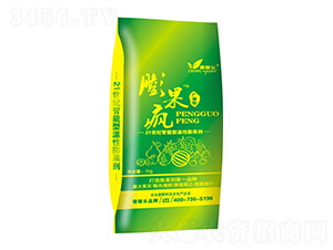 �_ʩ�ι�����-�����-�ڼژ�