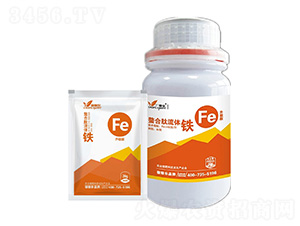 ���������w�F-�ڼژ�