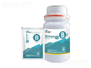 ���������w��-�ڼژ�(l��)