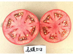 �߿�����518-���ѷN��-���S�N�I(y��)