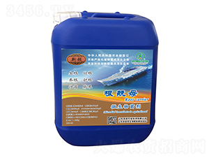 ΢�������-����ĸ-�³��r�I(y��)