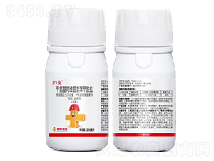 �װ������S���ر������}-��ҹ-��̖(h��o)С�tñ