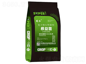 ��������ͺ�΢���������-�Ⱥ�