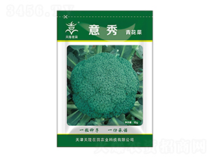 �໨�˷N��-����-��¡�r(n��ng)�I(y��)