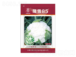 ¡ѩ85-��¡����-��¡�r(n��ng)�I(y��)