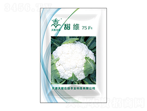 ��S75F1-��¡����-��¡�r(n��ng)�I(y��)