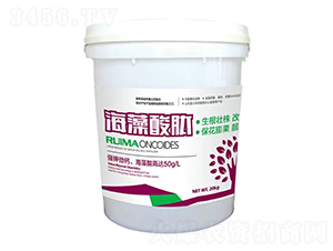 �������ě_ʩ��-�̶�����