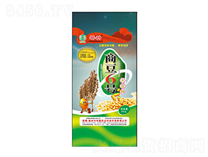 商豆6號(hào)大豆種-豐田農(nóng)業(yè)
