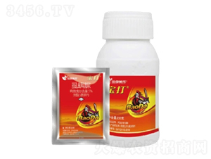 5%ʭ����Ҹ���-����-�����