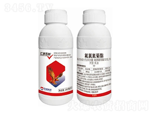 50��/���������������-�R���٘�-�����