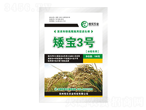 ������̖(h��o)-�㘷�r(n��ng)�I(y��)