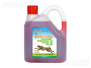 41%�ݸ�좮������}����s�ͣ�-�ݼ{˹-�V�|���r(n��ng)