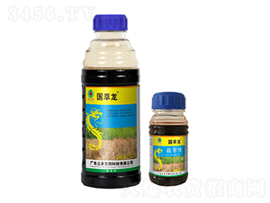 20%���ݿ�-��(gu��)����-�V�|���r(n��ng)