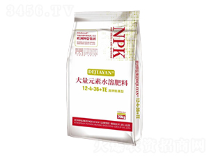 �������ʹ���Ԫ��ˮ�ܷ���12-4-36+TE-����}��(gu��)�H