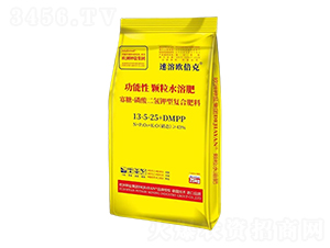 ���ǡ����������͏�(f��)�Ϸ���13-5-25+DMPP-���ܚW����-����}���H