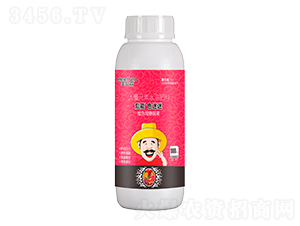 大量元素水溶肥料-彪能色迷迷-美爾森