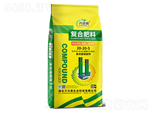 �����������������͏ͺϷ���20-20-5-�f�S�R-�Dؐ