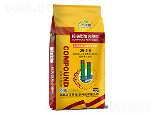 �����������������Ϳ�ʧ�͏ͺϷ���29-5-6-�f�S�R-�Dؐ