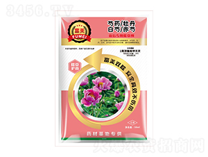 ��ˎ/ĵ��/����/�������(zhu��n)�ó��݄�-����