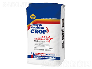 ����ʩ����Ԫ��ˮ�ܷ���12-40-8+TE+Ca-�A��Ӣ��