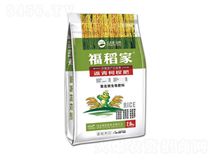 �����辷�-������-���Z�ʘI(y��)