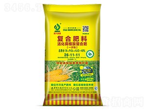 ���ֲ�����Ϸ�26-11-11-���ʢԴ