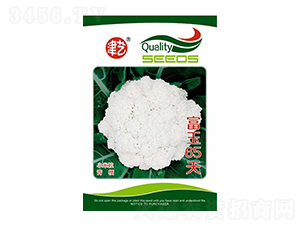 ���˷N��-����65��-���S�r(n��ng)�I(y��)