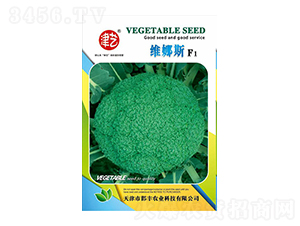 ���m���N��-�S�{˹-���S�r(n��ng)�I(y��)