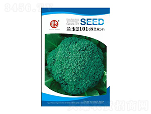 ���m���N��-�{(l��n)��2101-���S�r(n��ng)�I(y��)