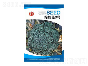 ���m���N��-�G���{(l��n)3̖-���S�r(n��ng)�I(y��)