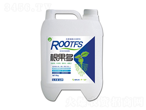 ����ֲ��ˮ�ܷ���-����