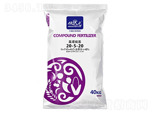 ���������(f��)�Ϸ���20-5-20-����Ԫ-��W(w��ng)(li��n)