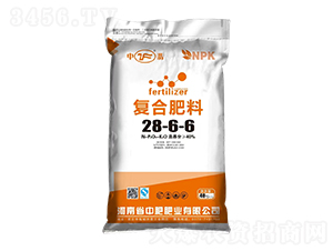 ��(f��)�Ϸ���28-6-6-����-�зʷʘI(y��)