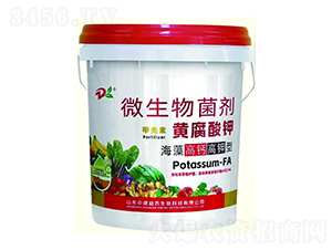 ������}������S�����΢�������-�е����r(n��ng)