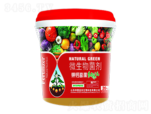 ��}����t��Ԫ-�е����r(n��ng)