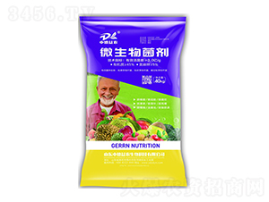 ΢�������40kg-�е����r(n��ng)