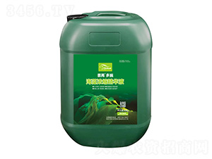 �����s���AҺ-���۶�ʩ